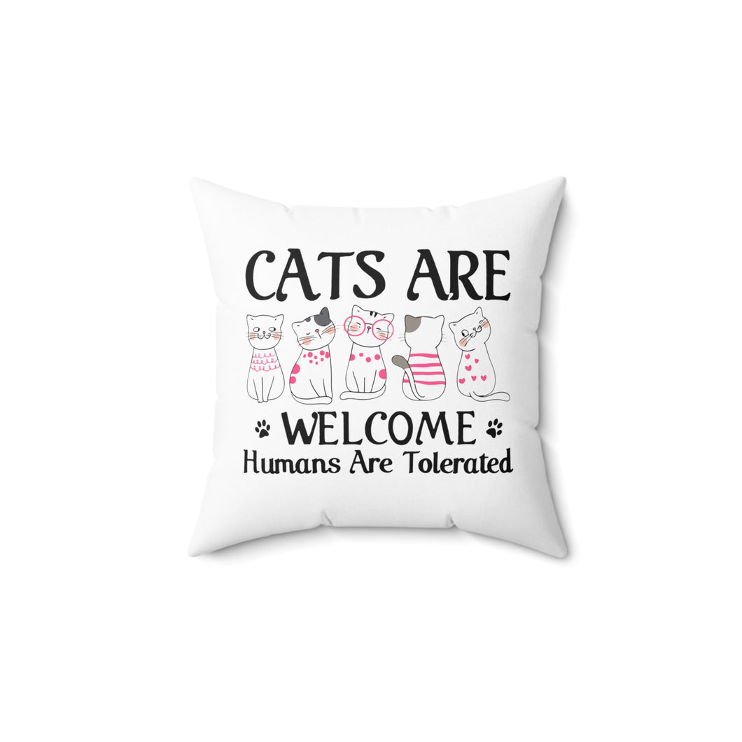 Faux Suede Square Pillow: All I Need Are Cats & Jesus